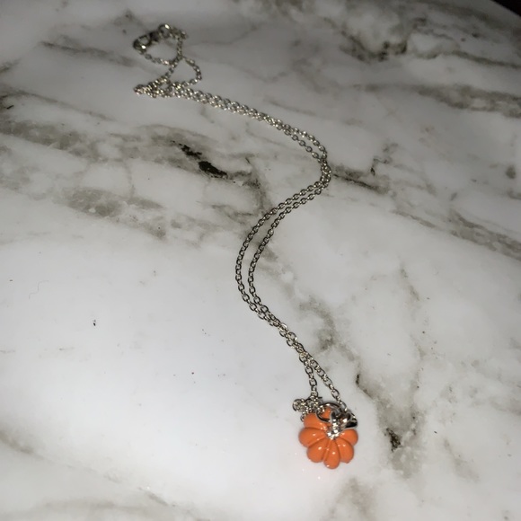 πβ―π β
SILVER PUMPKIN NECKLACE - Picture 8 of 8